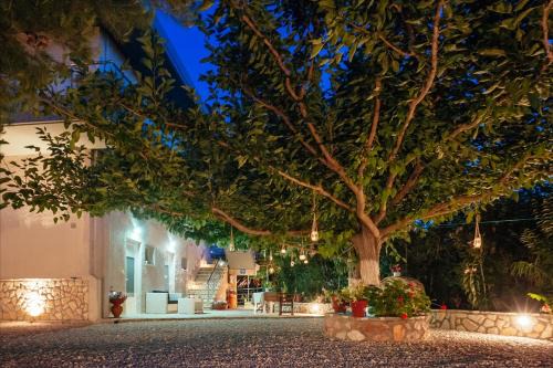 Dimitra Apartments in Kandia