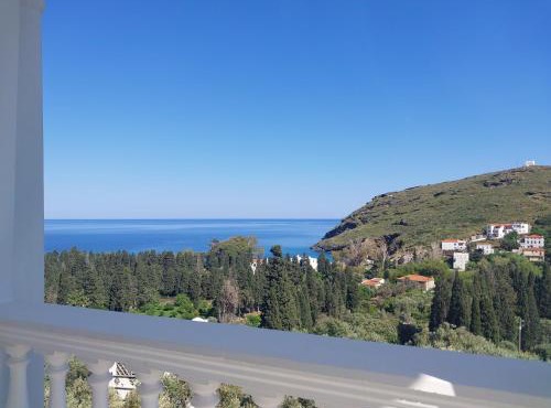 Dimitra's Apartments 4 klm away from Chora in Andros