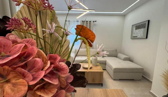 DM Apartments in Nea Michaniona