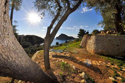 Dolphin Apartments in Paleokastritsa