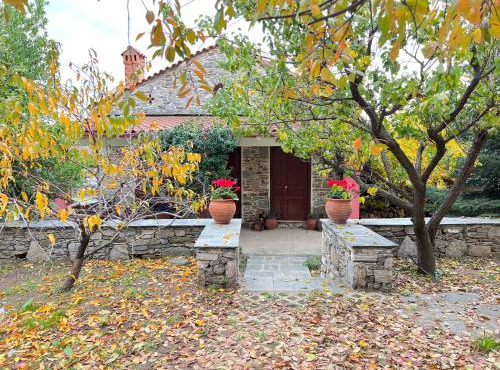Dreamy Cottage in Ayiá