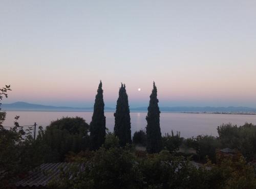 Earth n' Water in Verga Kalamata