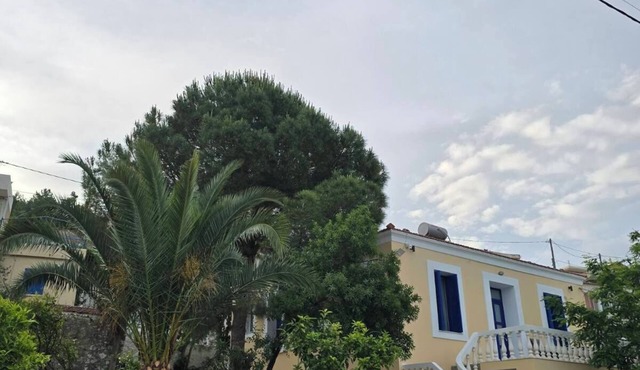 Epaminondas 3-bedroom Stone House in KARDAMYLA