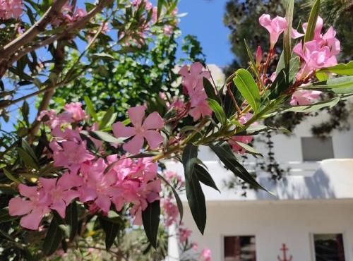 Eva's place in Karistos