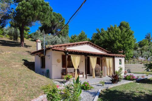 F & B Summer Collection - Skiathos - Maistrali for 2 Plus in Skiathos