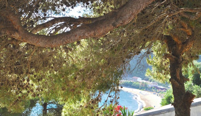 Family Friendly Apartments With a Swimming Pool on Pelekas Beach in Corfu