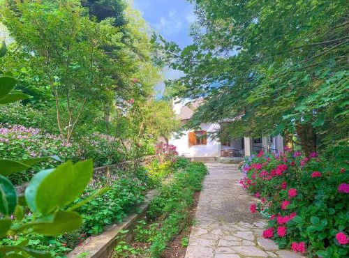 Forest cottage top of the world in Central Tzoumerka