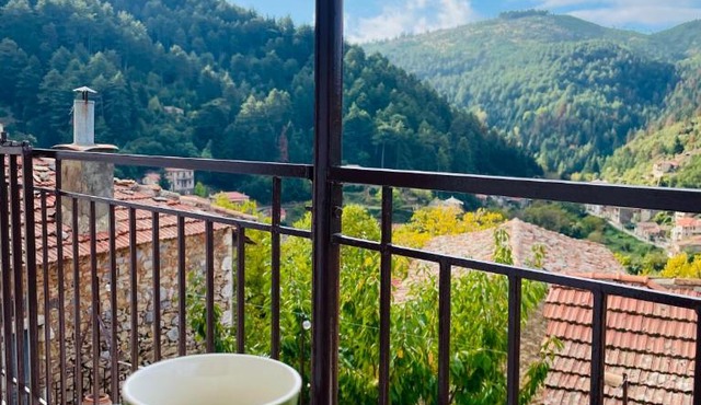 Forrest Guesthouse in Vamvakou