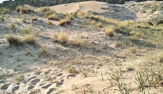 Grecotel Casa Marron in West Achaea