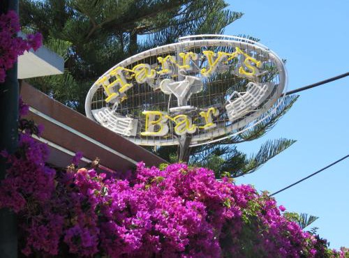 Harrys bar & apartments in Acharavi