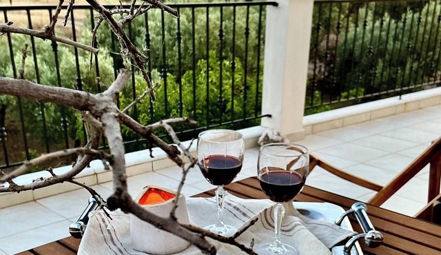 Horizon House in Evia With olive grove and vineyard in Amarynthos