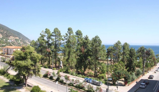 Hotel Artemision in Istiaia-Aidipsos
