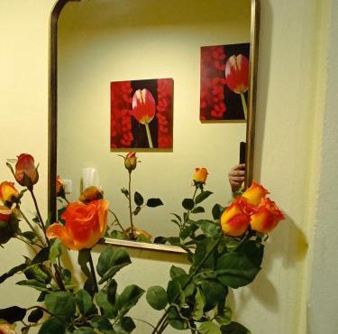 joanna's house in Alexandroupoli
