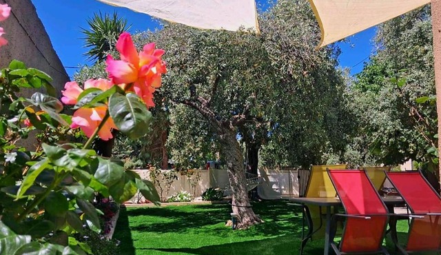 John and Tania's Garden in Prinos
