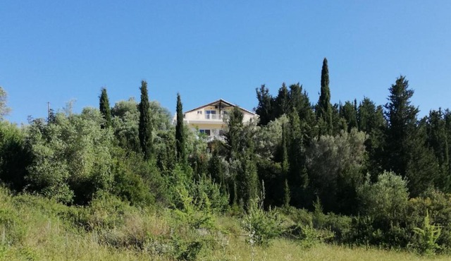 Kallimos in Vasiliki