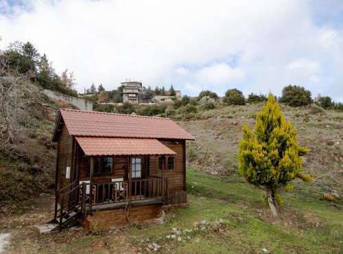 karion houses in Synikia Mesi Trikalon