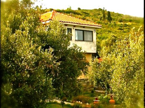 Kyra's Paradise in Potistika
