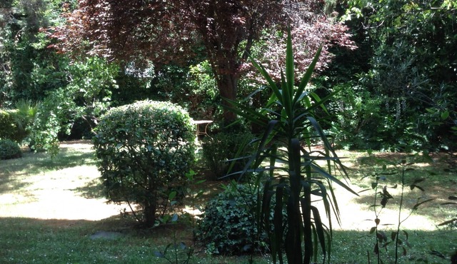 Large appartment in the Athens prime area and safe location in Athens