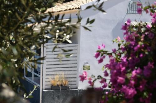 Loula's Cottage in Perama