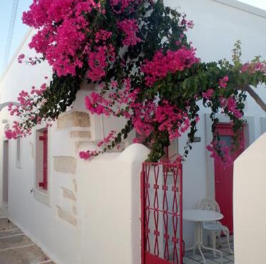 Margo Antiparos in Antiparos