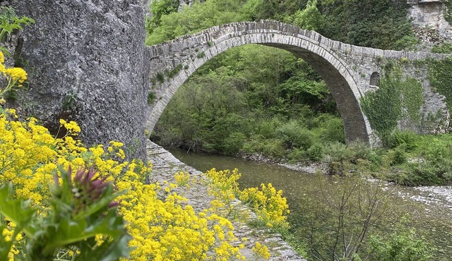 Meliteion traditional Hotel in Zagori