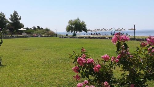Monopetro in Metamorfosi