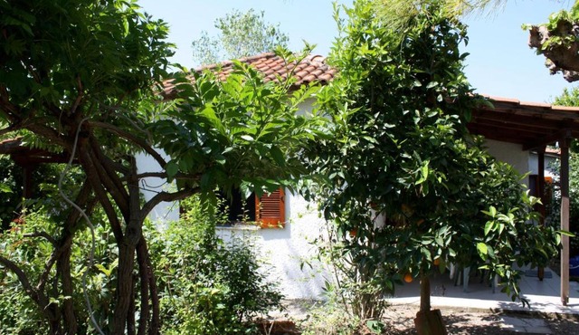Nikos 3 in Zacharo