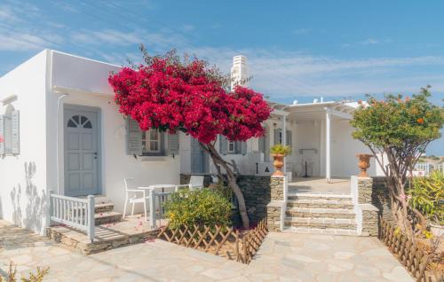 Nostos Sifnos in Apollonia