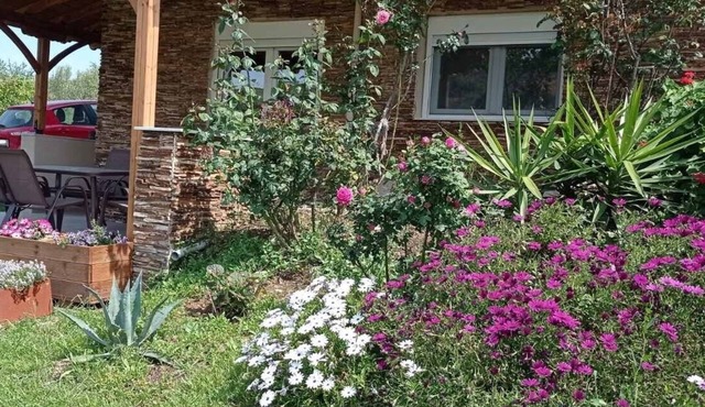 Nouli's Mountainview Haven in Nikiti Chalkidiki