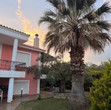 Olea House in Alexandroupoli