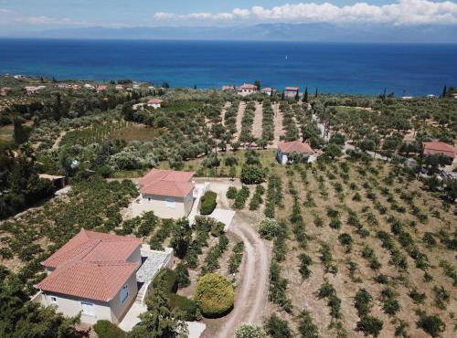 ORFANOS 3 in Armenoí