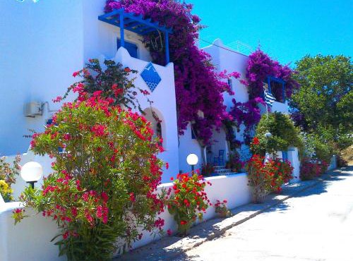 Pelagos Studios in Parikia