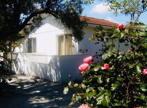 Pension Zoi in Kolymbia