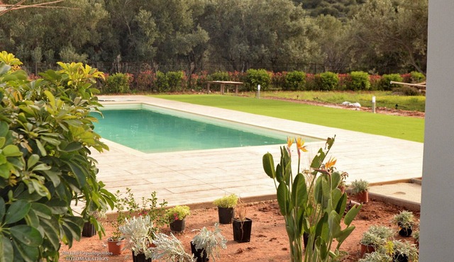 Poolside Lush Retreat in Kato Souli