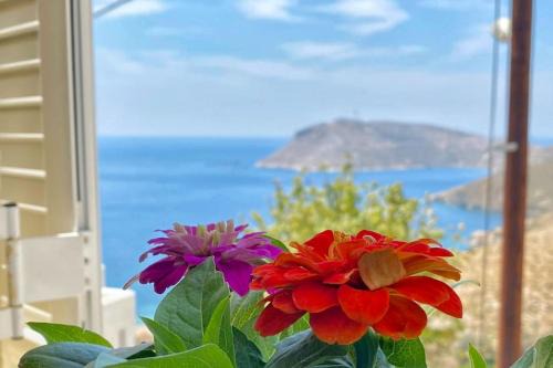 Poppy's House in Emborios Kalymnos