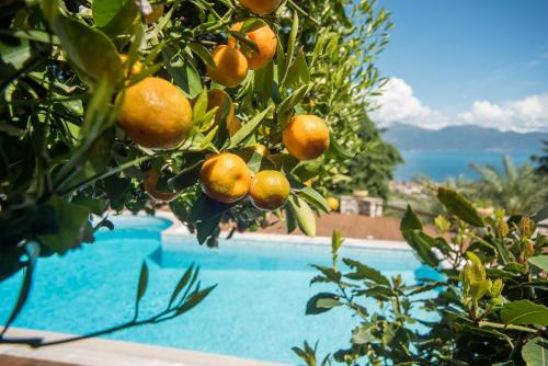 Primavera Villa Sea view in Aigialeia