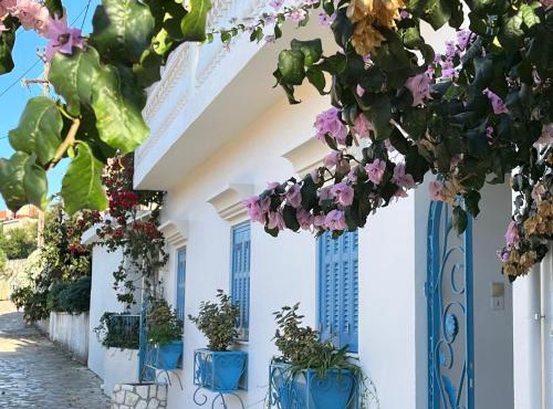 Reginas -Blue Flower Little Home in the Heart of Fiscardo in Fiskardo