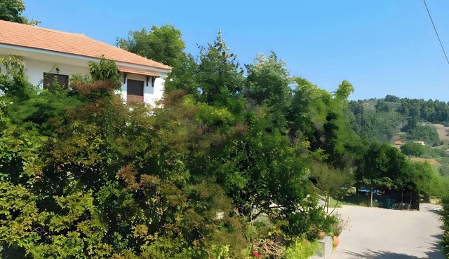 Room 'Orama 25' with Sea View, Wi-Fi and Air Conditioning in Εύβοια