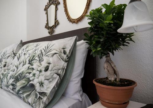 SANTA CRUZ country cottage in Kallithéa