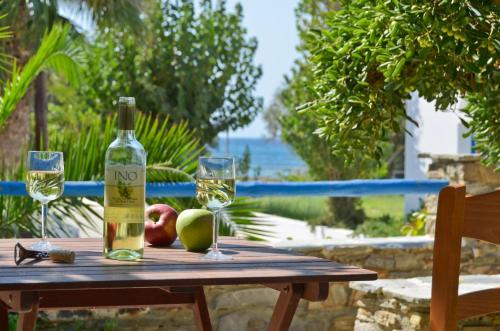 Sea View Studios & Apartments in Agia Anna Naxos