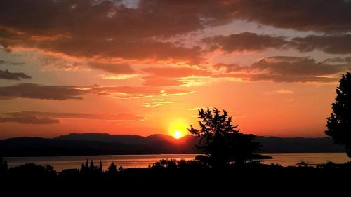 Stone Studio in Nature with view to Corfu town! in Evropoúloi