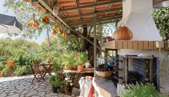 Studio Apartment 'Nontas Home 20' with Mountain View, Wi-Fi and Air Conditioning in Kalamitsi