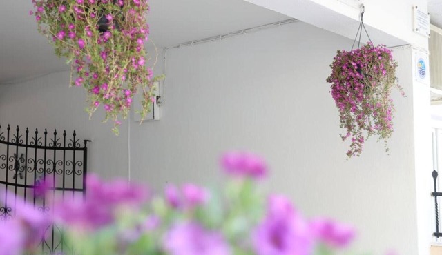 Studio 'For 3 with Sea View 2' – Sea View, Wi-Fi & Air Conditioning in Pefkochori