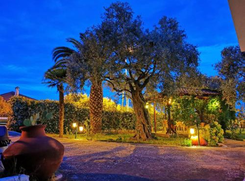 Studios Filippina in Skala Potamias