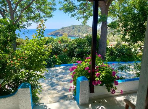 Studios Ioanna Limnionas Samos in Marathokampos