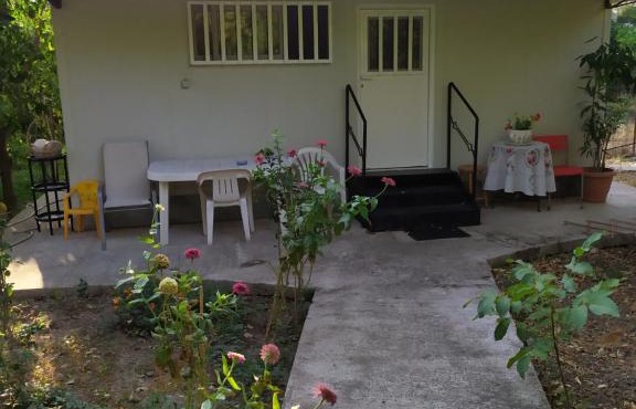 The Garden in AGIA VASSA ROOM