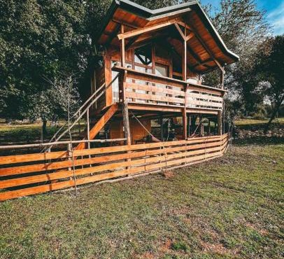 The Treehouse of The Dragon in Protópappas