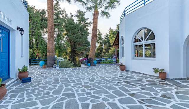 Theo Bungalows Kriopigi in Kassandra