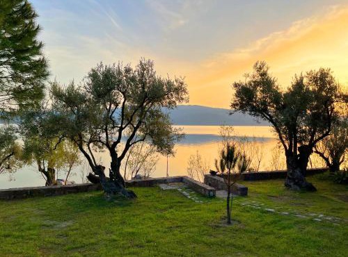 Traditional Architecture Seafront Stone House in 25000sqm Olive Grove - C in Alyfantá