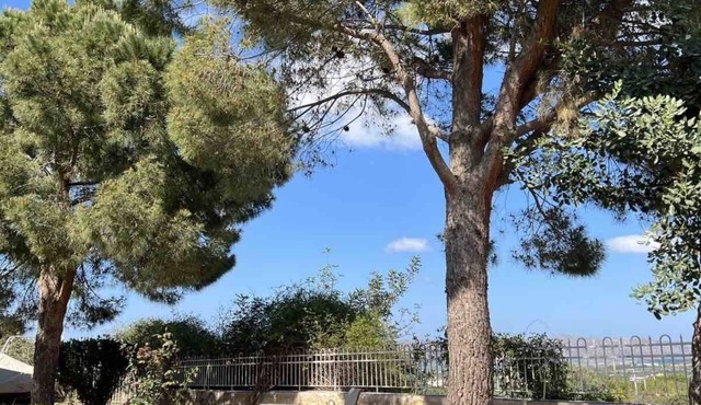 Twin Pines Home in Kounoupidiana Chania. in Κουνουπιδιανά